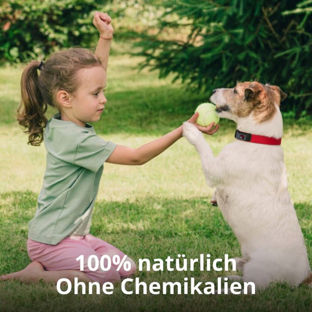 Natürlicher Floh- und Zecken-Tag für Hunde