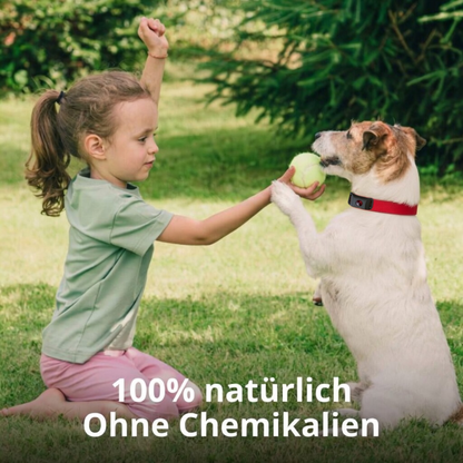 Natürlicher Floh- und Zecken-Tag für Hunde