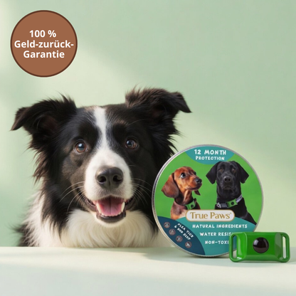 Natürlicher Floh- und Zecken-Tag für Hunde