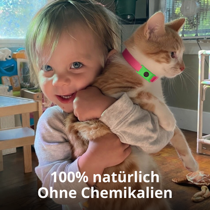 Natürlicher Floh- und Zecken-Tag für Katzen