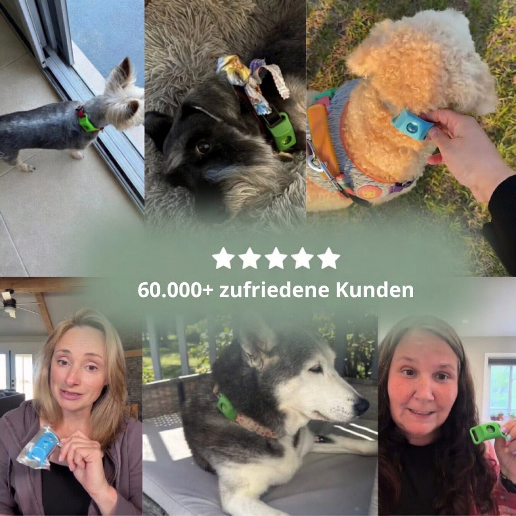 Natürlicher Floh- und Zecken-Tag für Hunde