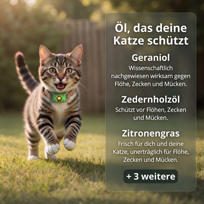 Natürlicher Floh- und Zecken-Tag für Katzen