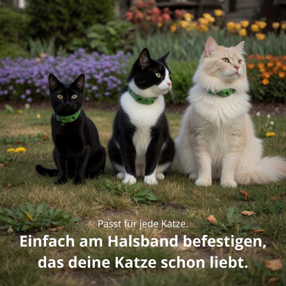 Natürlicher Floh- und Zecken-Tag für Katzen